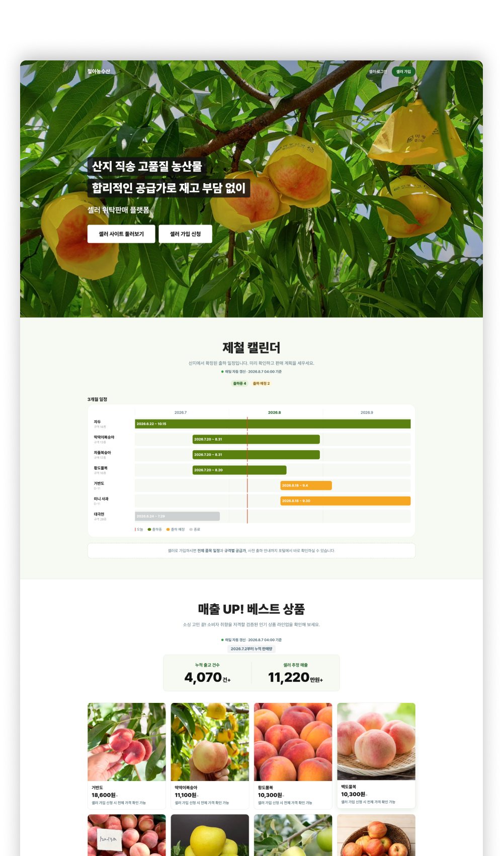 철아농수산 셀러 프로모션 사이트 화면 — 제철 캘린더와 베스트 상품