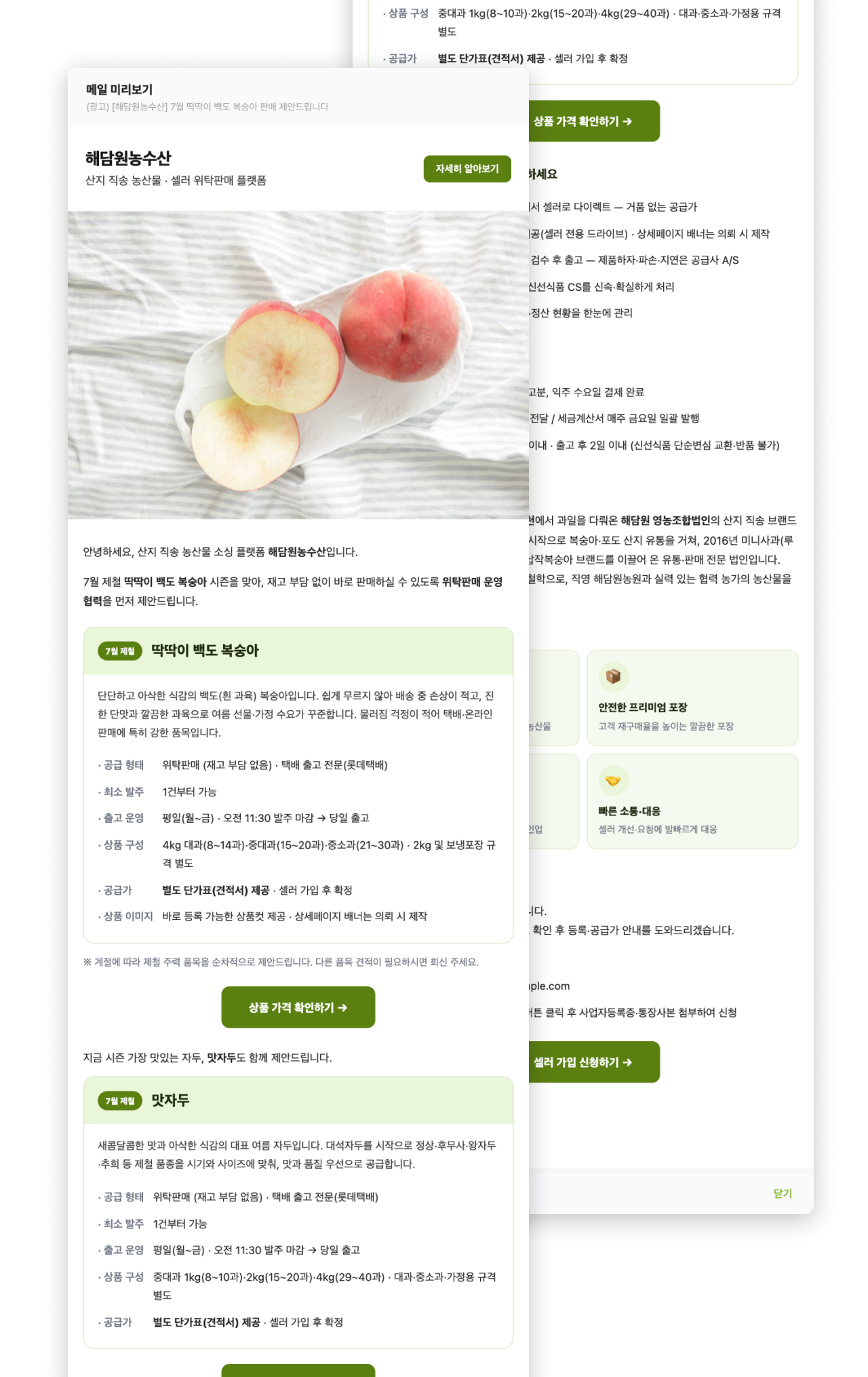 산지잇고가 셀러에게 발송하는 판매 제안 메일 예시 화면